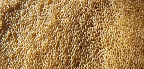 10. Эти маленькие отверстия...