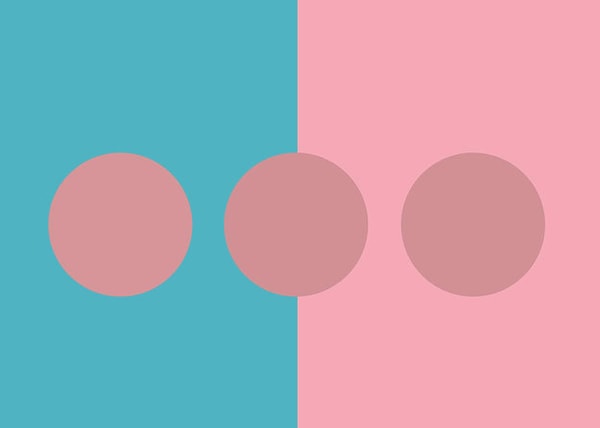 3. Какой из этих кружков слегка отличается по цвету от остальных?