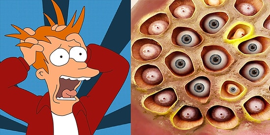 Этот тест приведет в полнейший ужас любого, у кого есть трипофобия