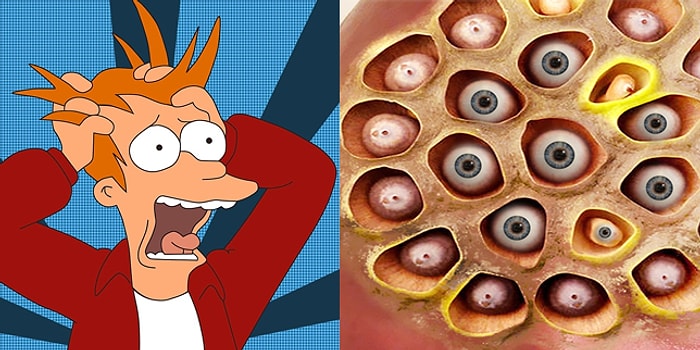 Этот тест приведет в полнейший ужас любого, у кого есть трипофобия