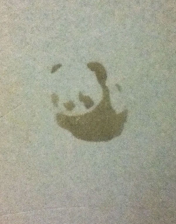 2. "Это пятно на стенке выглядит как панда"