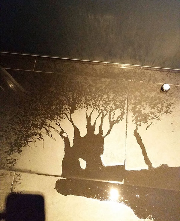 9. "Разлитая вода напоминает дерево"