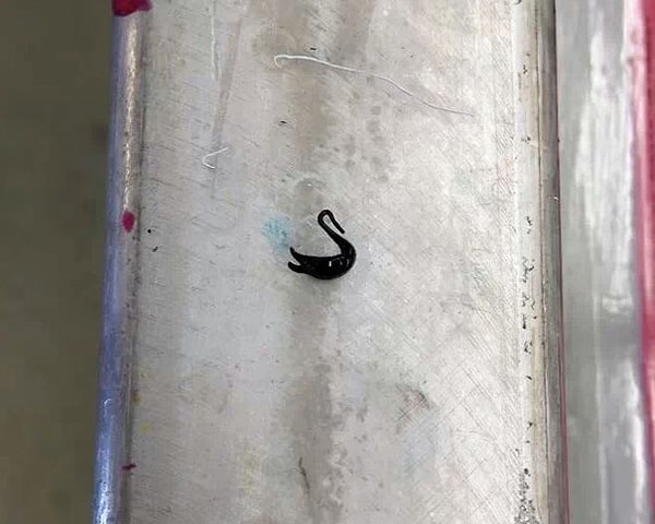 11. "Эти чернила похожи на крошечного лебедя"