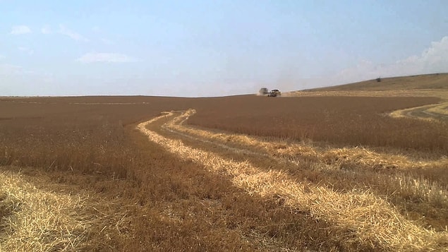 9. Engebesiz ve çıkıntısız Konya Ovası