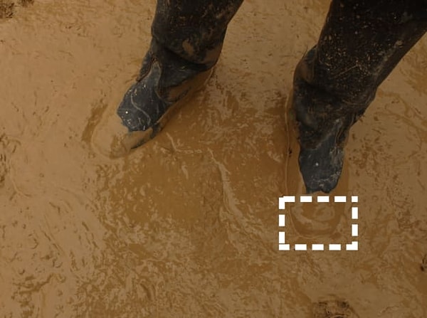 Посмотреть правильный ответ: