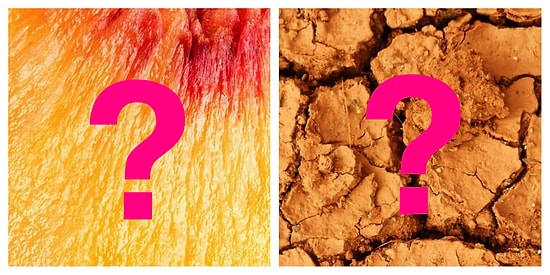 Тест: Сможете ли вы угадать, где на фото в увеличенном виде еда?