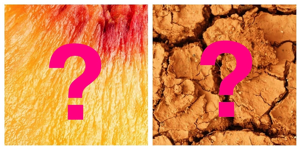 Тест: Сможете ли вы угадать, где на фото в увеличенном виде еда?