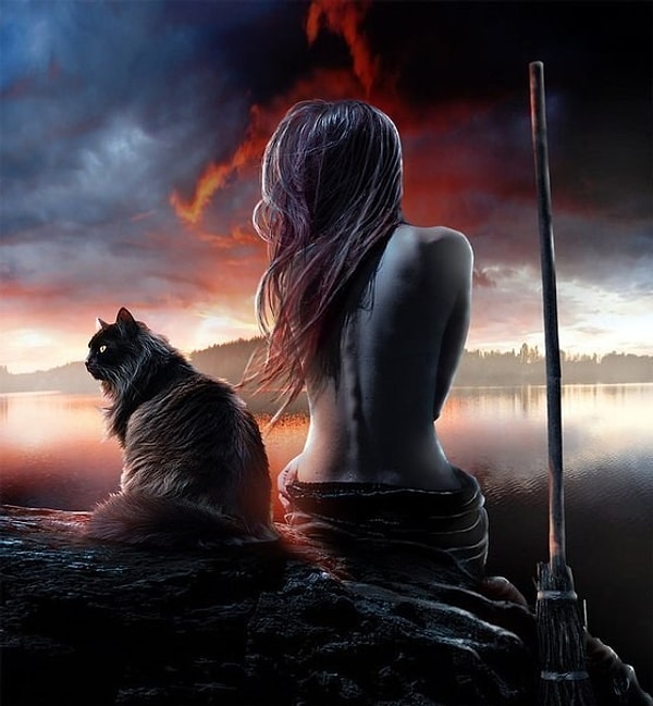 5. А какое животное вы возьмете себе в помощники?