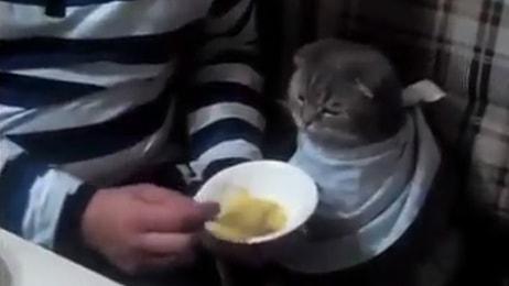 Hasta Kediye, Çocuğuna Çorba İçirir Gibi Çorba İçiren Güzel Yürekli İnsan