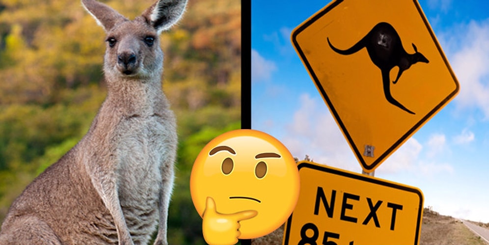 Можете смело ехать жить в Австралию, если наберете в этом тесте 7/8