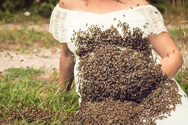 Şirketin işlerinden biri de koloni halindeki arıları yeniden bir yere yerleştirmek ve istenmeyen yerlerde bulunanları da kovanına geri götürmek...