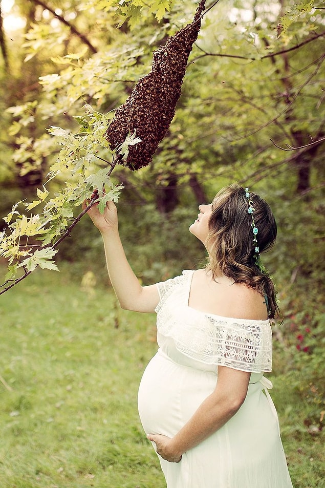 Emily'nin fotoğraflarda kullandığı arılar da, bu arılardı.