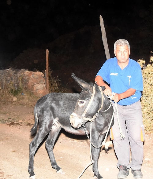 Köyü terk etmek istemeyen ve hayvanlarını kurtarmaya çalışan bazı vatandaşlar ise jandarma ekipleri tarafından bölgeden çıkarıldı.