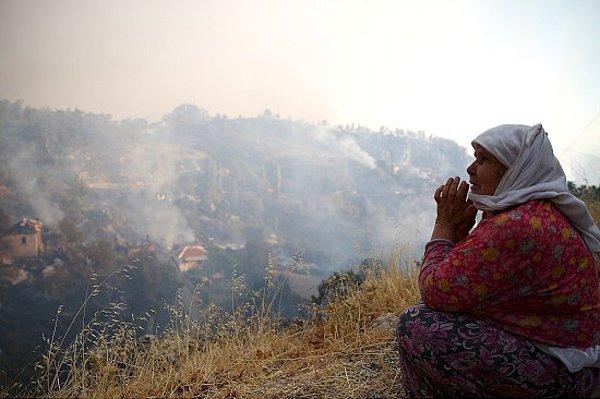 Muğla Orman Bölge Müdürü Mehmet Çelik, geçtiğimiz saatlerde yaptığı açıklamada 250 hektarın üzerinde ormanlık alanın yandığını açıkladı.