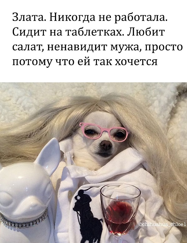 6. Гламурная фифа