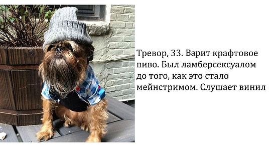 10 уморительных мемов с собаками, которые напомнят вам кое-кого из ваших знакомых