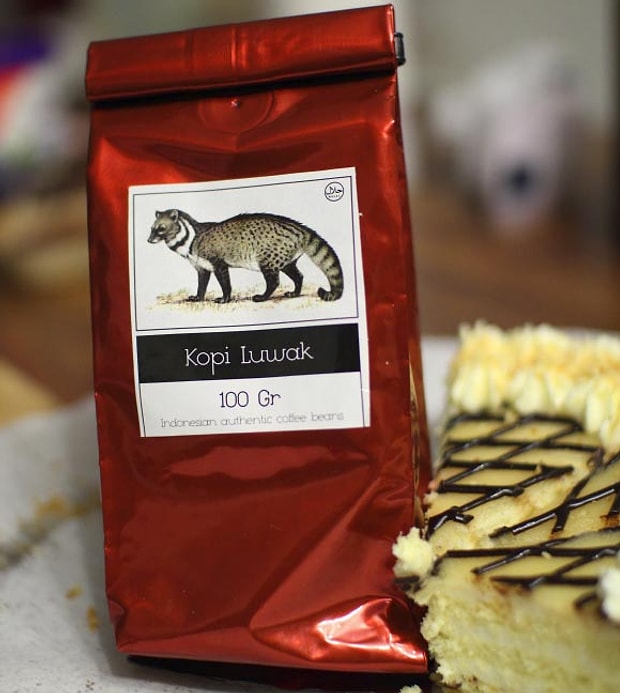 Luwak Coffee