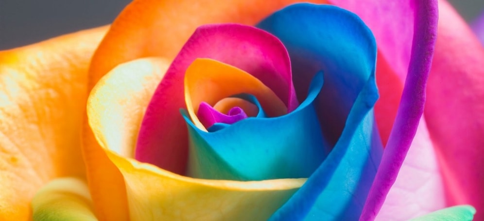 Этот тест определит ваш персональный цвет, заглянув в глубину вашей души