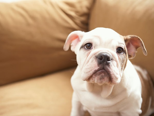 10. Осталось немного. Выберите свой самый НЕлюбимый цвет