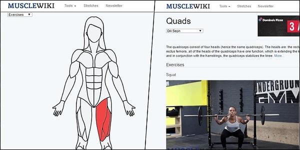 5. Kas grubunuzu seçin, egzersizinizi göstersin: Musclewiki.org
