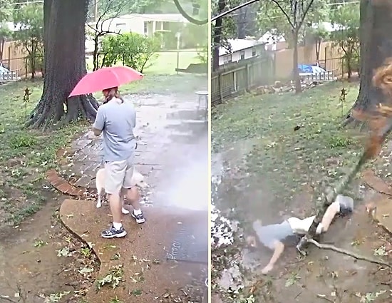 Düşen Ağaç Dalından Şans Eseri Yara Almadan Kurtulan Adam