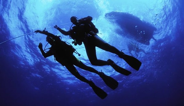 8. Огромная популярность дайвинга и подводного плавания