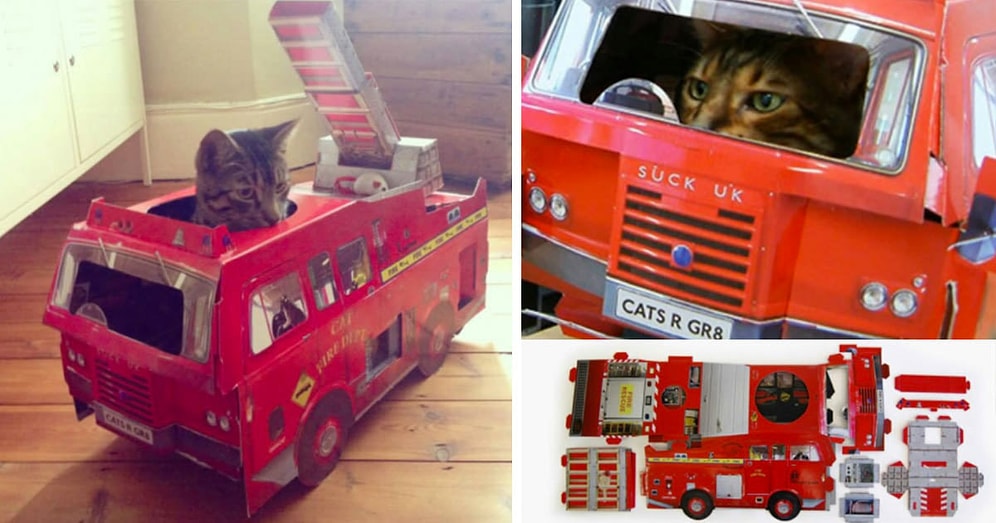 Эта компания производит крутые игрушки для котов: вы будете пищать от восторга!