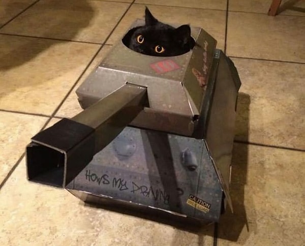 1. "Мне пофиг, я в танке"