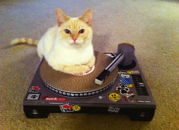 3. Диджей от Бога ♫