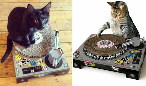 4. "Ша что-нибудь замутим!"