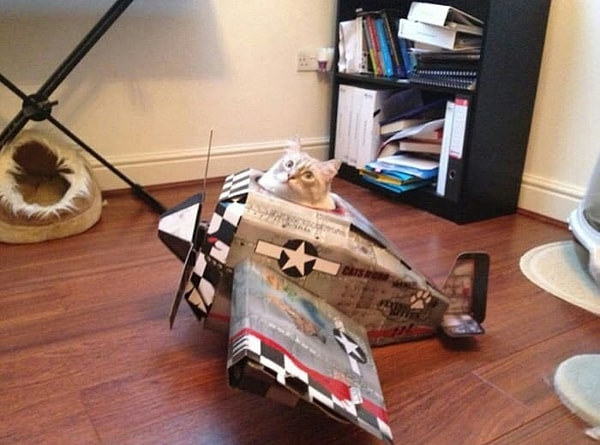 5. В бесконечность и далее!