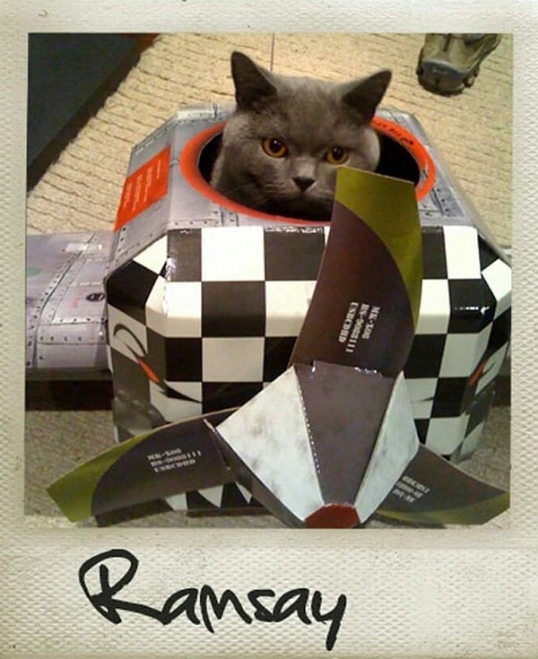 6. Храбрый пилот