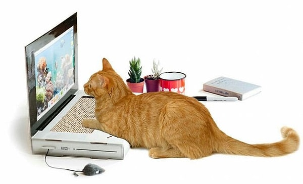 7. Айтишник (обратите внимание на мышку 😅)