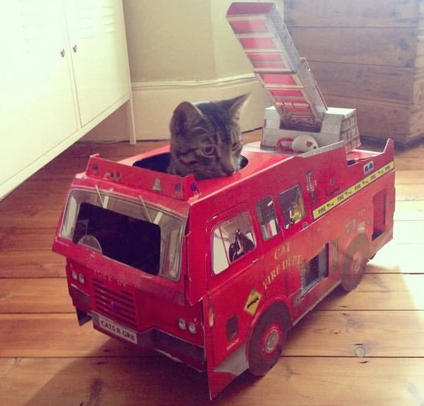 9. "Пожар? Где пожар? Сейчас все потушим, уже еду!"