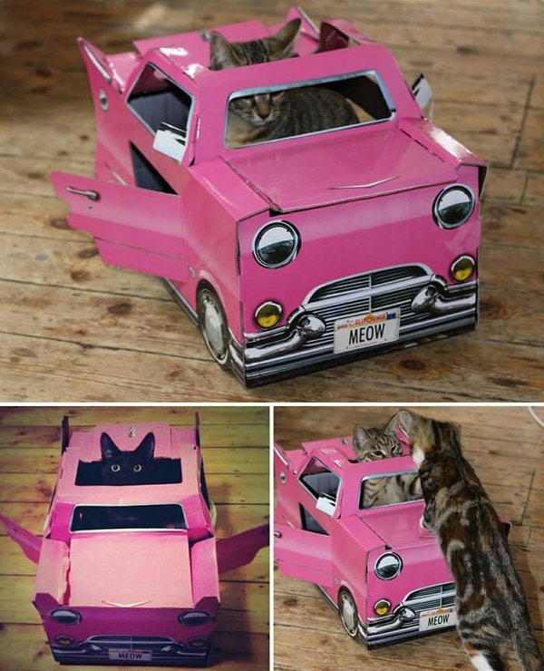 11. У каждой кисы должен быть розовый Cadillac!