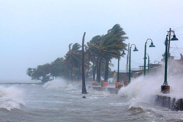 8. Irma Kasırgası'nın Porto Riko kıyılarına vuran büyük ve hasar verici dalgalar.