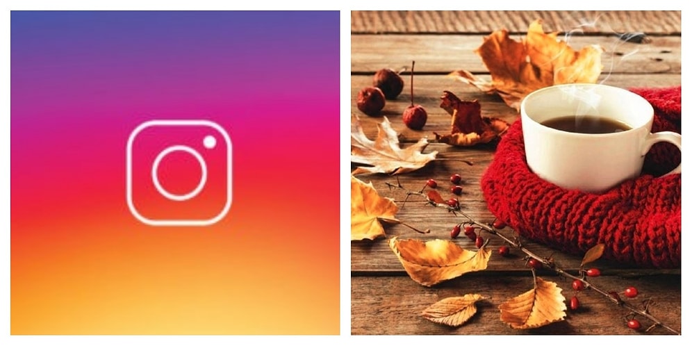 7 самых лучших фото и видео недели из нашего Инстаграма