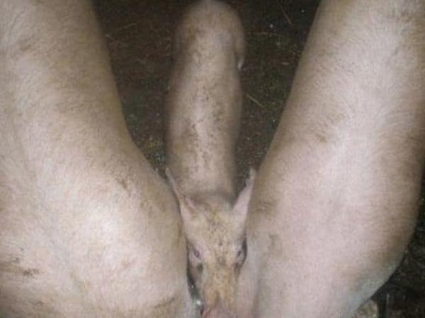 3. Что увидели первым?