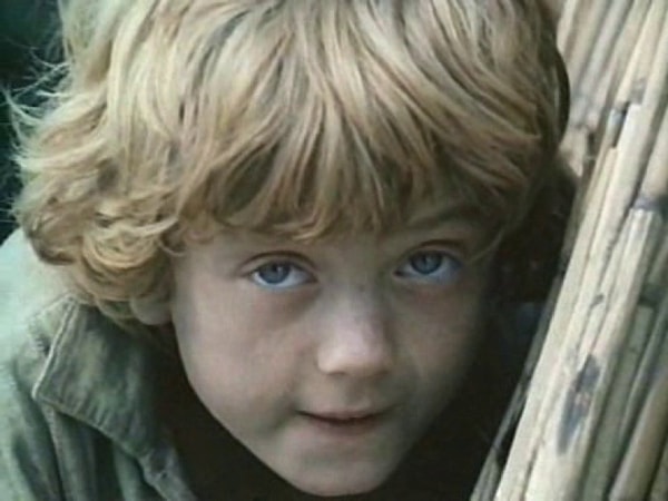 3. Из какого фильма этот мальчик?