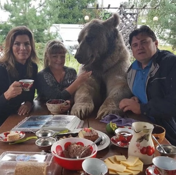 10. У каждого уважающего себя русского должен быть ручной медведь