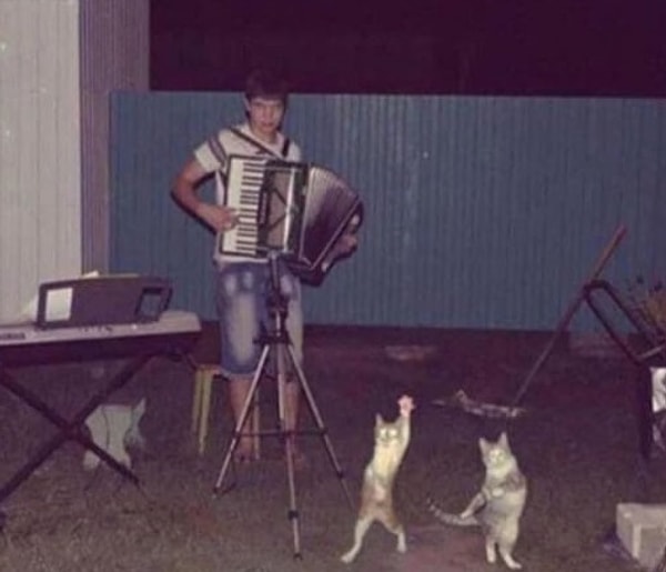 12. Дискач в самом разгаре