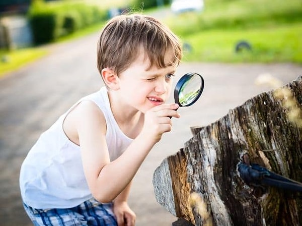 2. Испытываете ли вы любопытство к миру вокруг вас?
