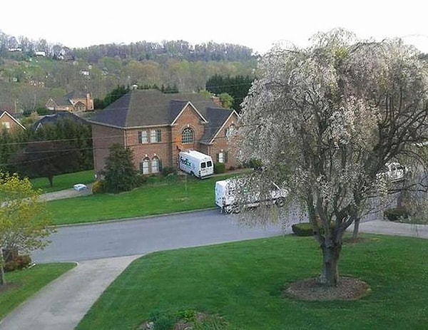 8. Ваша посылка доставлена!