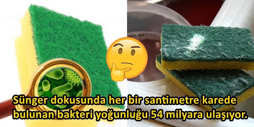 Mutfakların Vazgeçilmezi Bulaşık Süngeri Klozetten Çok Daha Fazla Bakteriye Sahip Olabilir!