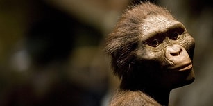 Yapılan Yeni Araştırmaya Göre İnsan Soyunun Afrika'dan Geldiği İnanışı Yanlış Olabilir!