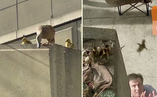 Doğru Zaman ve Doğru Yerde Olan Adamdan Birçok Hayatı Kurtaran Hareket!