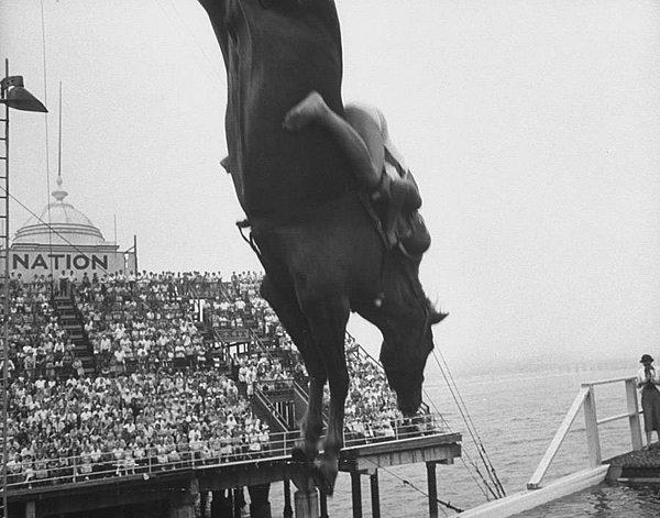 4. 1970'lerde atlı dalış popülerliğini giderek kaybetmeye başlamıştı. Özellikle hayvan hakları aktivistleri bu 'eğlencenin' bir an önce durdurulmasını talep etmişti.