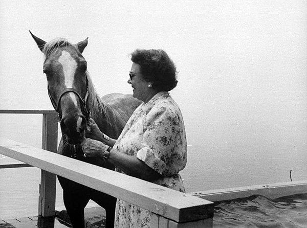 7. Başarılı atlayışından sonra ödülünü alan atın bu fotoğrafı 1953 yılında çekildi.