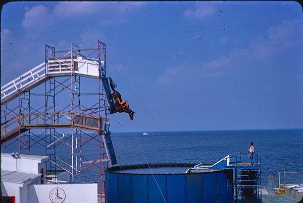 20. Atlantic City'nin Steel Pier parkında antrenman yapan bir at 1978.