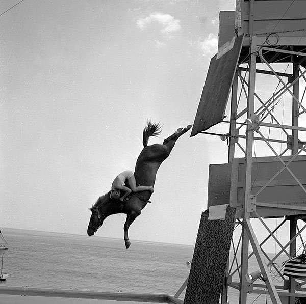 22. Atlı dalışta canı pahasına atına tutunan bir binici, 1955.